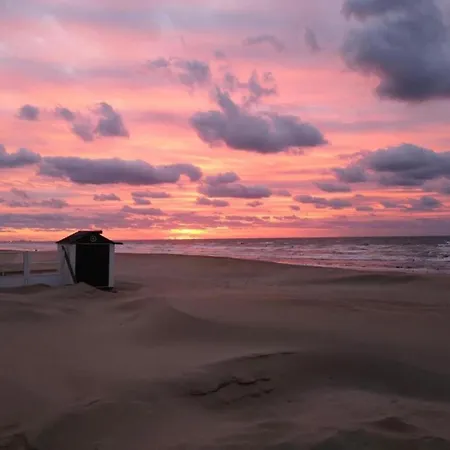 In Near Zeedijk Koksijde