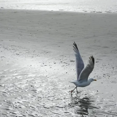 In Near Zeedijk Villa *