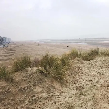 In Near Zeedijk *